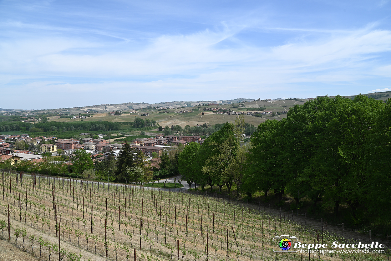 VBS_2808 - Neive.jpg
